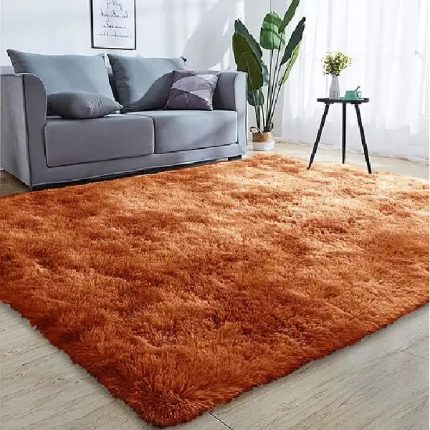 Best Orange Shaggy Rug